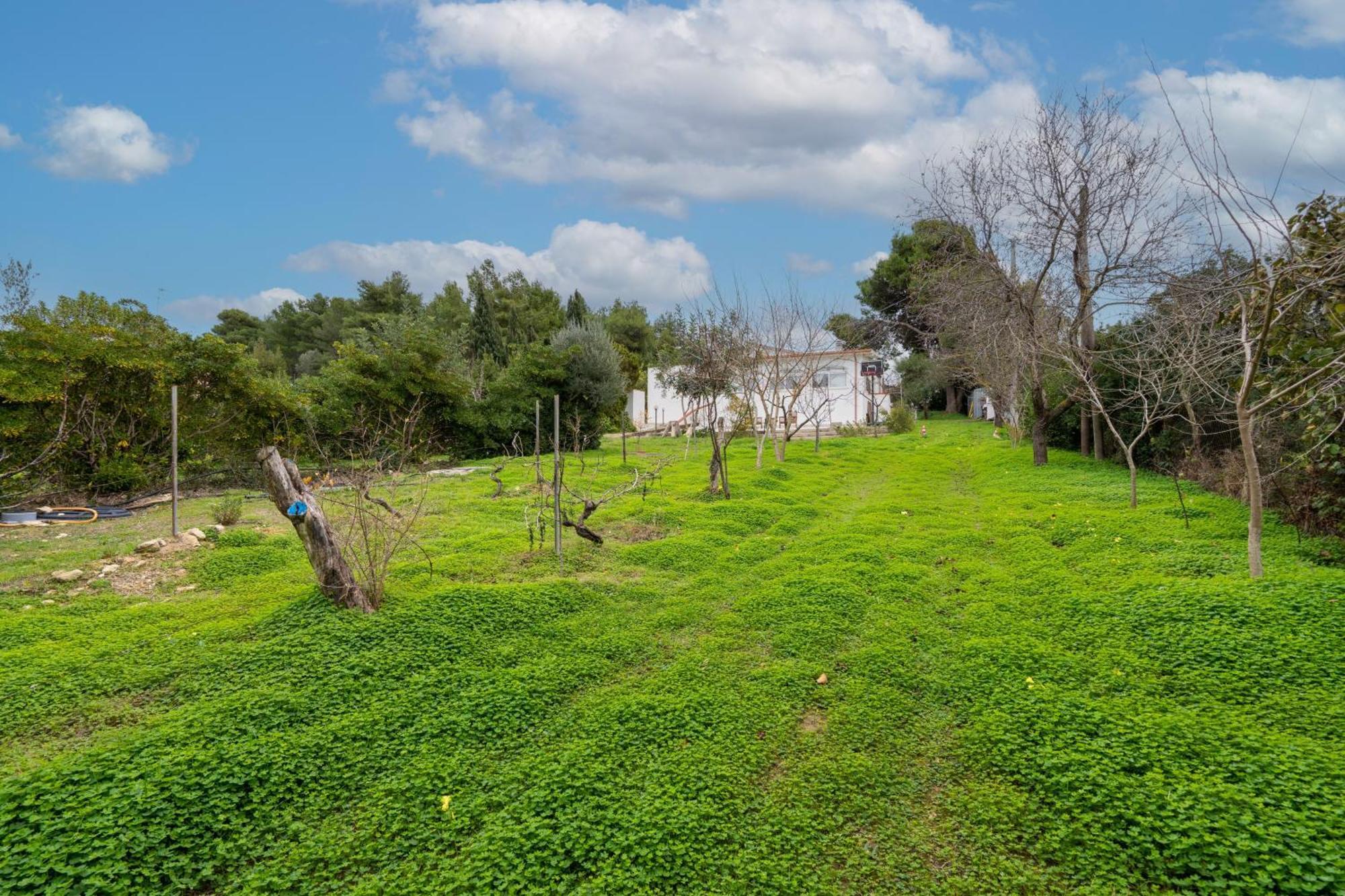 Filoxenia Di Umberto Casa de hóspedes Sássari Exterior foto